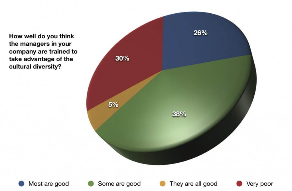 cultural diversity in the workplace