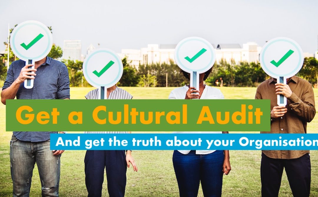 Cultural Audit – Get the truth about your organisation