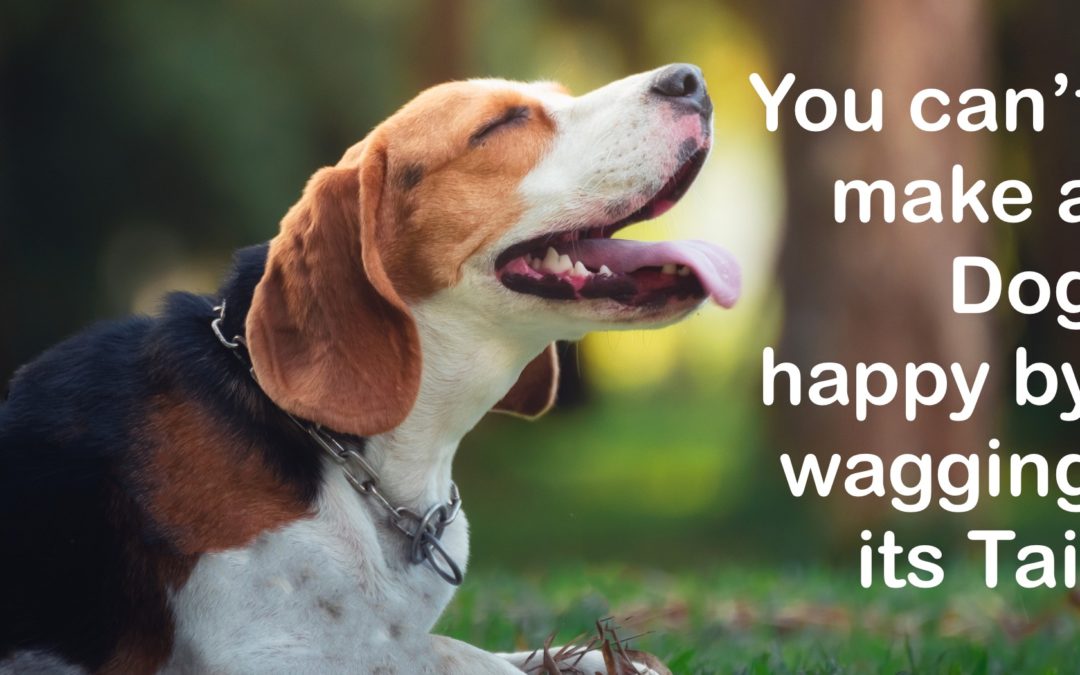 You can’t make a dog happy by wagging its tail