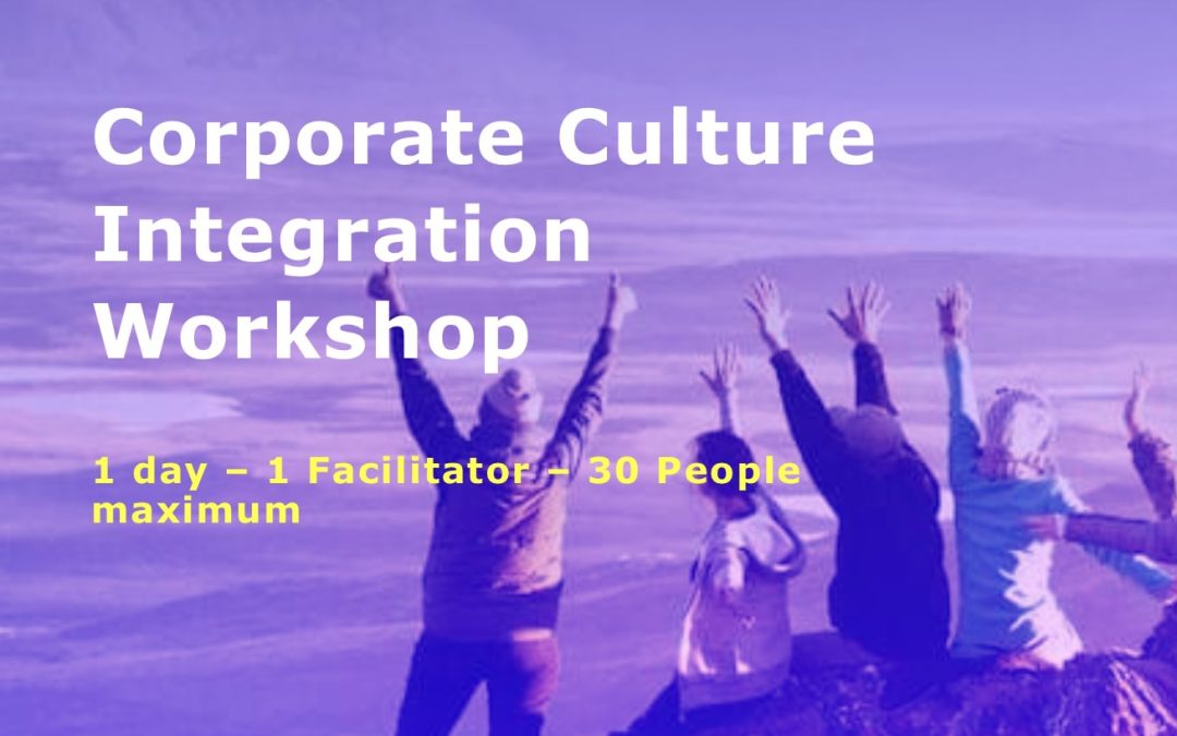 Corporate Culture Integration Workshop by Gugin