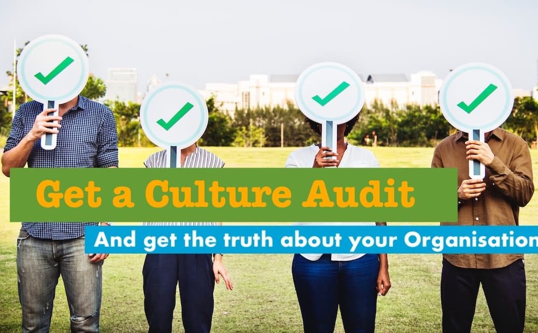 Culture Audit – Get the truth about your organisation