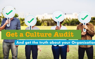 Culture Audit – Get the truth about your organisation