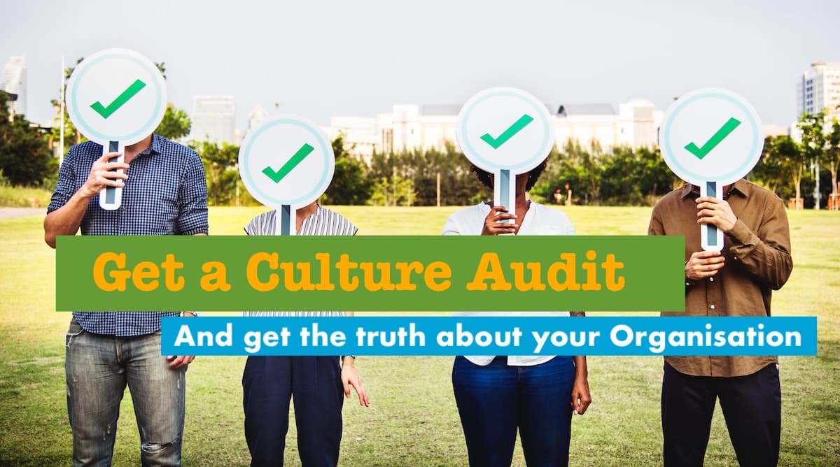 Culture Audit A culture audit reveal the truths about your organisation